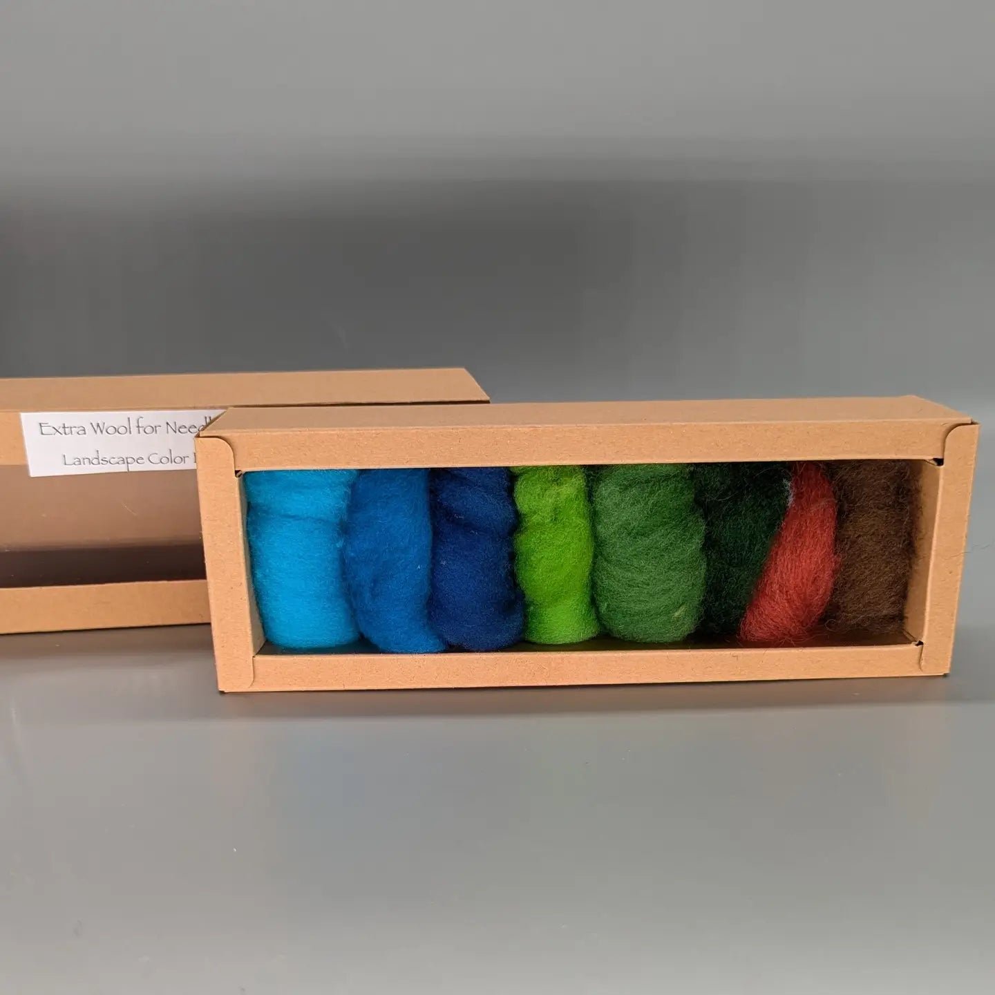 Colorful Roving Medium; Landscape (8 colors)