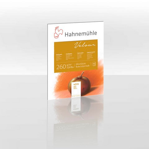 Pastel Velour 260Gsm 9.45 X 12.60In 10 White Colour Pad