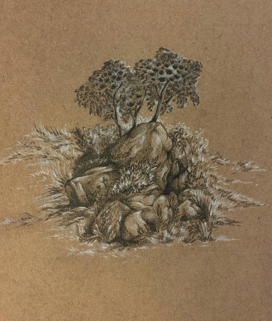 Visual Arts Club, 2nd-6th Grade, Mondays @ 3:15, weekly drop-in