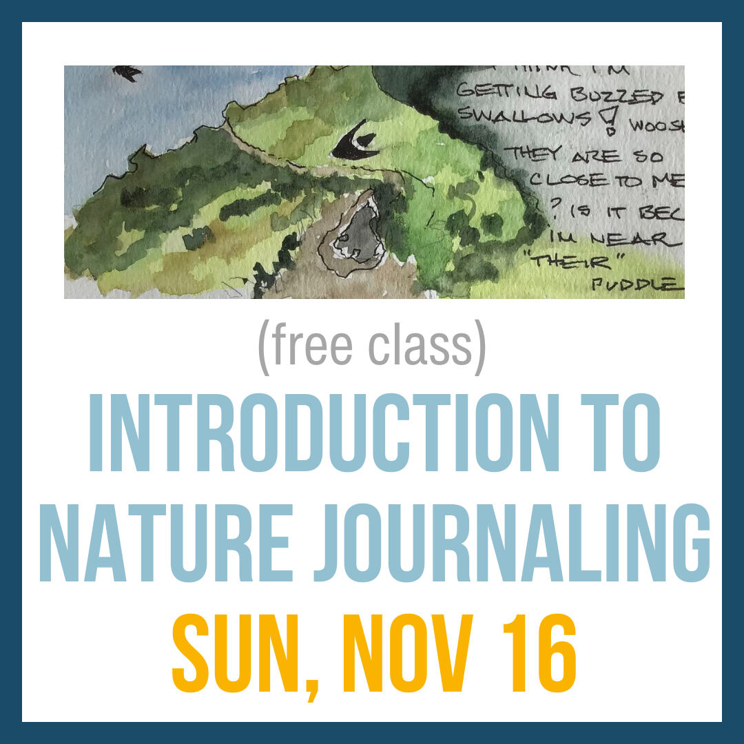 Introduction to Nature Journaling, Nov 16, 2:00-3:30pm