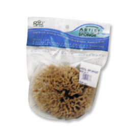Natural Sea Sponge 6 Inch  Wool