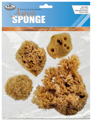 Combination Sponge Set 4 Pcs