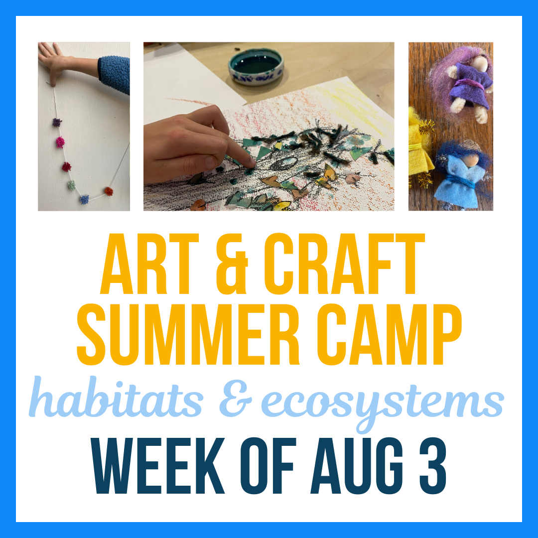 Summer Camp; Aug 3-7