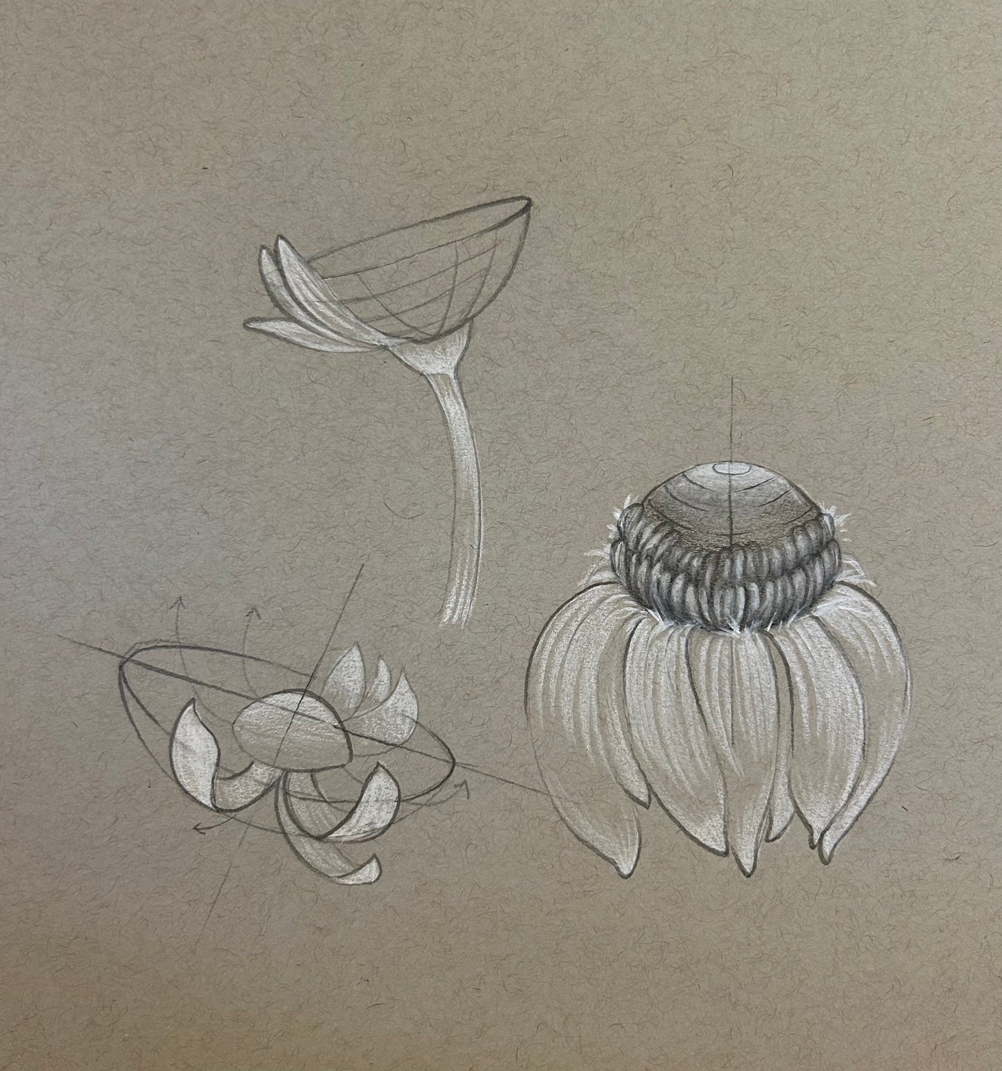 Visual Arts, 7th-12th Grade; Mondays @ 1:00