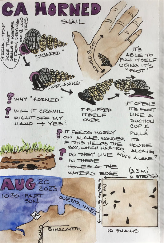 Introduction to Nature Journaling, Nov 16, 2:00-3:30pm