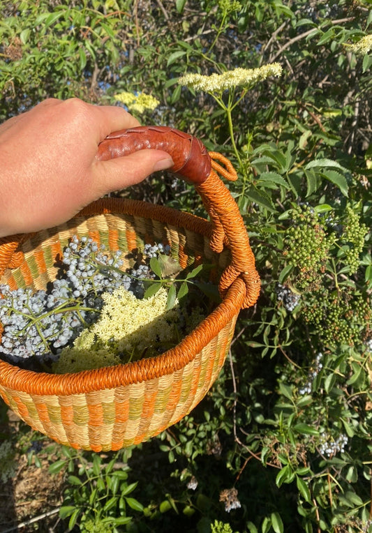 Autumn Herbal Medicine Workshop; Tues, Nov 24 @2:00pm