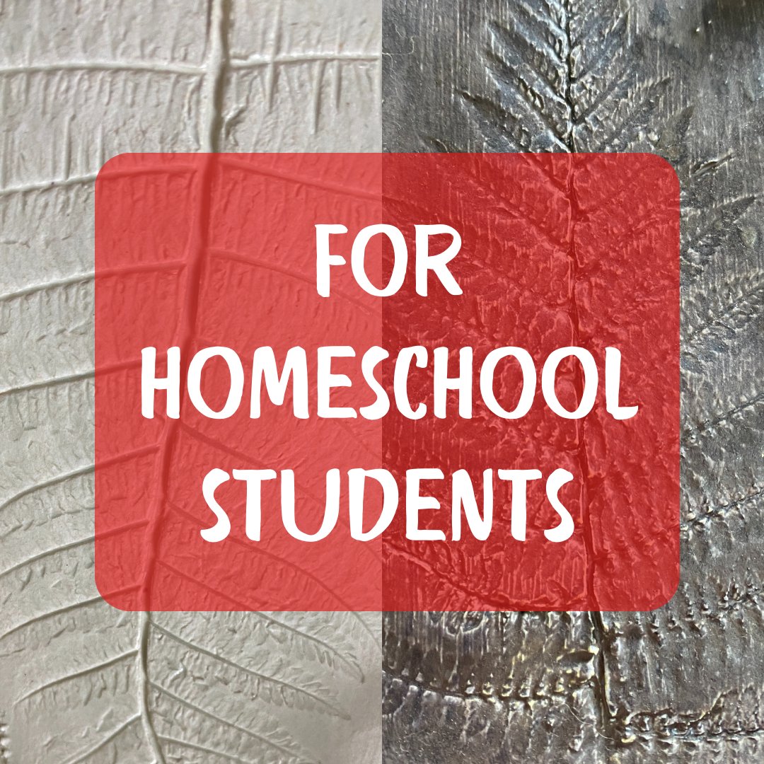 For Homeschool Students