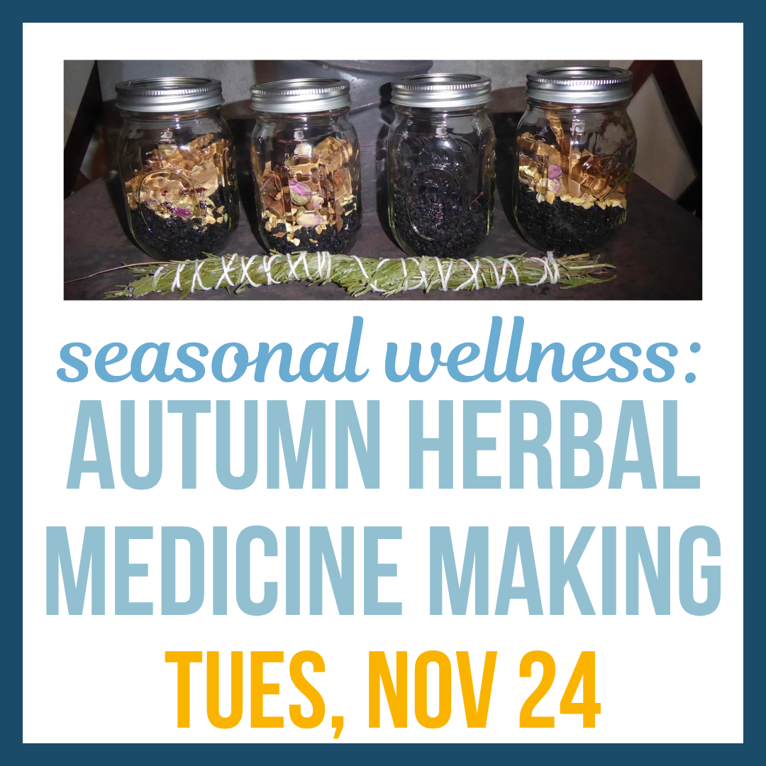 Autumn Herbal Medicine Workshop; Tues, Nov 24 @2:00pm