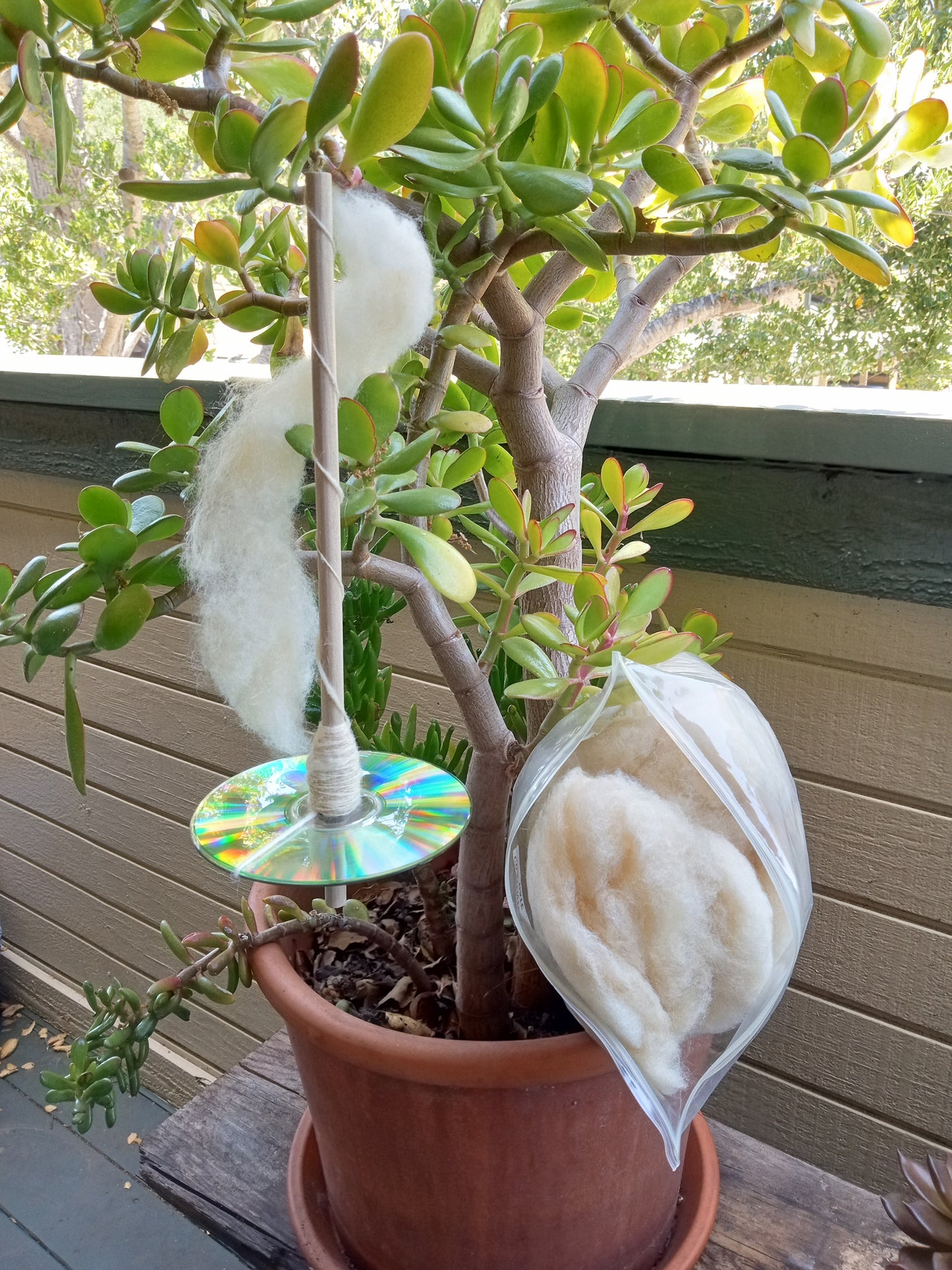 Drop Spinning for Beginners; Sun, Aug 2 @ 1:00pm**