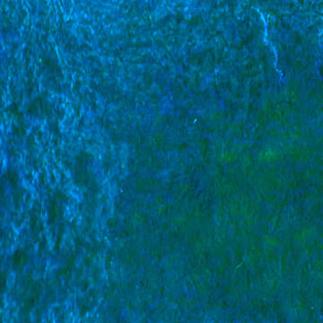 CfM Topaz watercolor