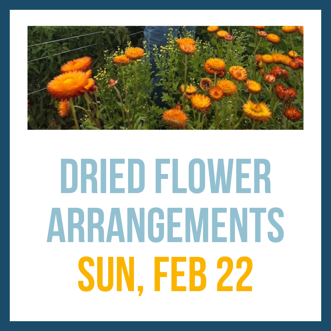 Dried Flower Arranging; Feb 22, 1:00-3:00pm