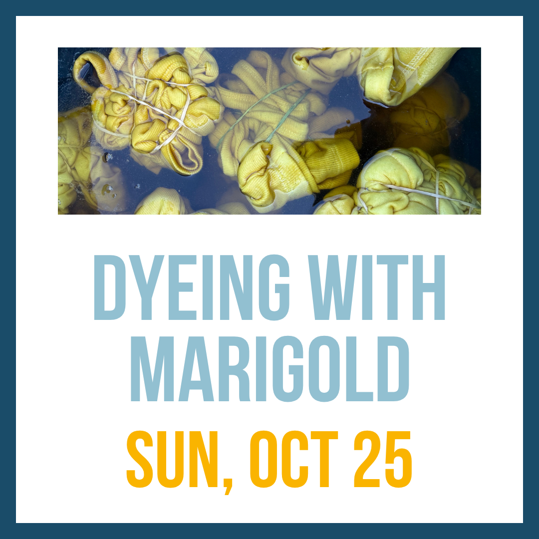 Marigold Dye Workshop; Sun, Oct 25 @ 1:00pm