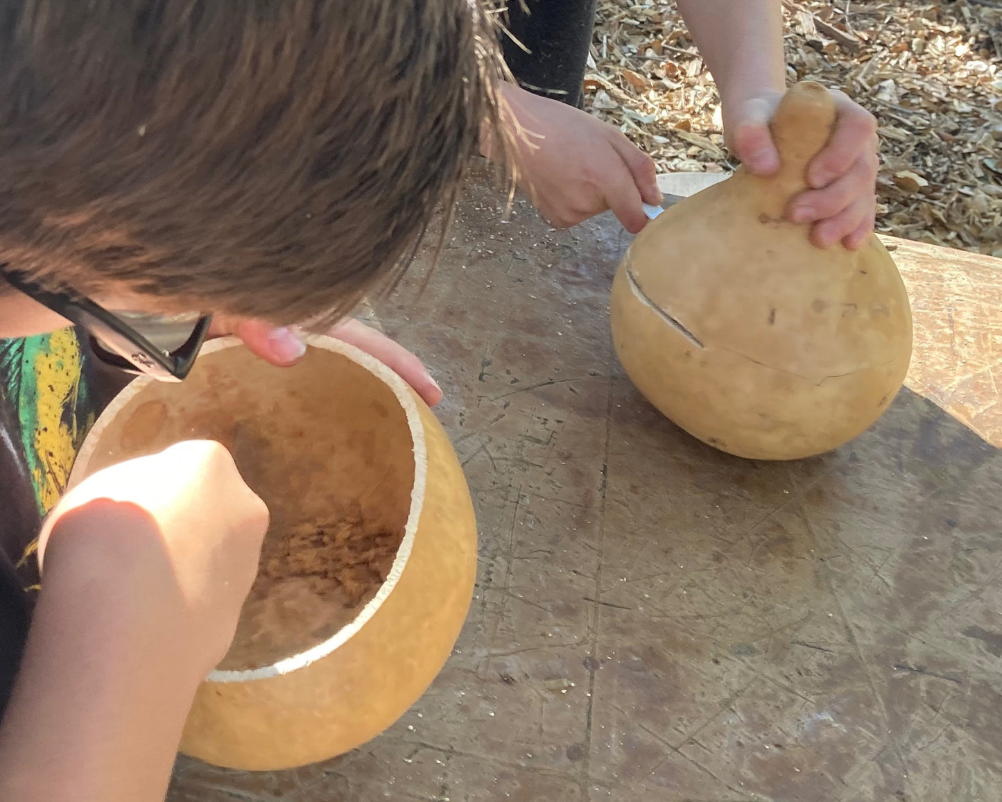 Gourd Bowl Making, Nov 15, 2:00-4:00pm