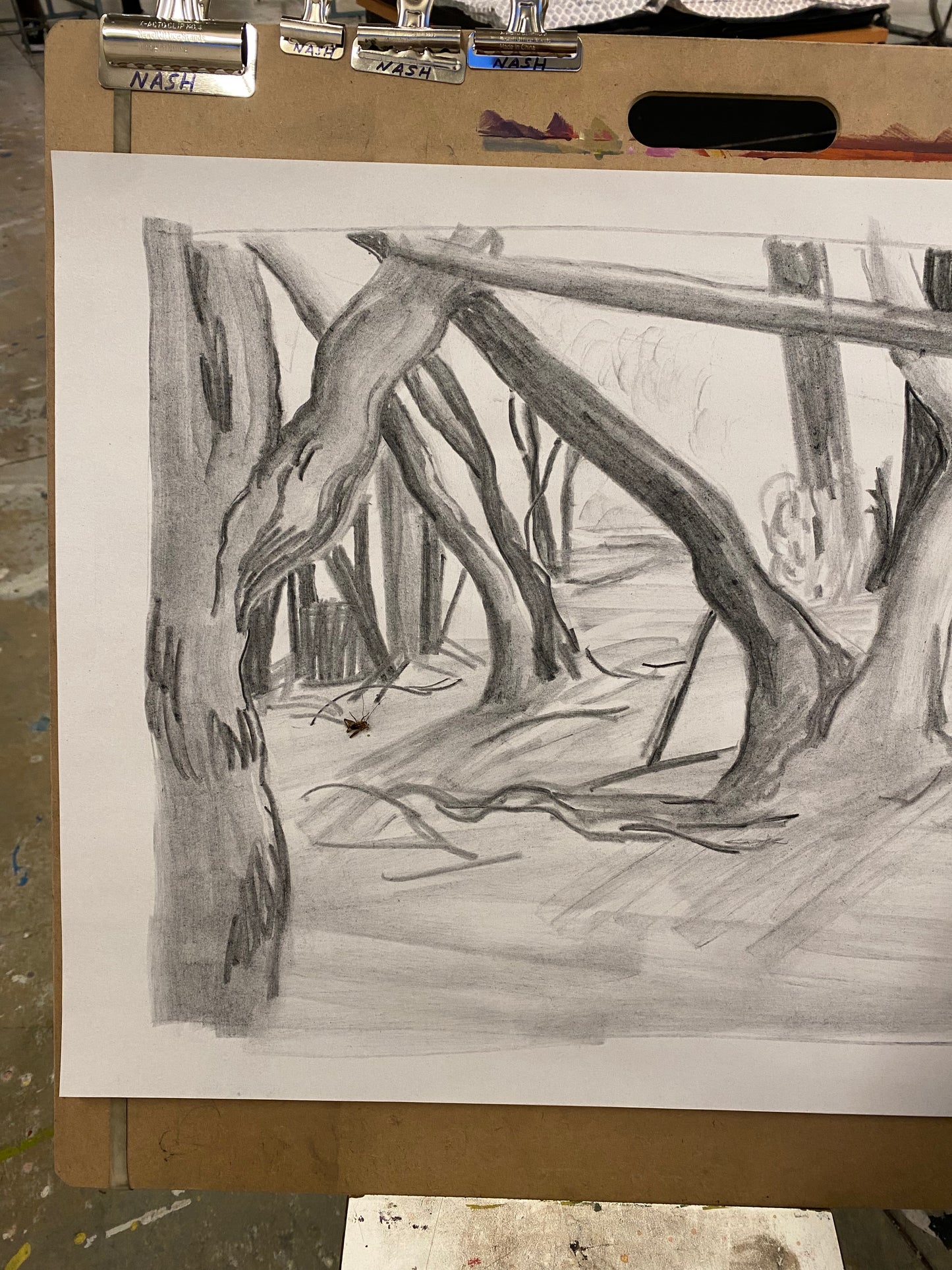 Drawing for Beginners: Looking & Seeing; Tues, Nov 3 @ 5:30pm**