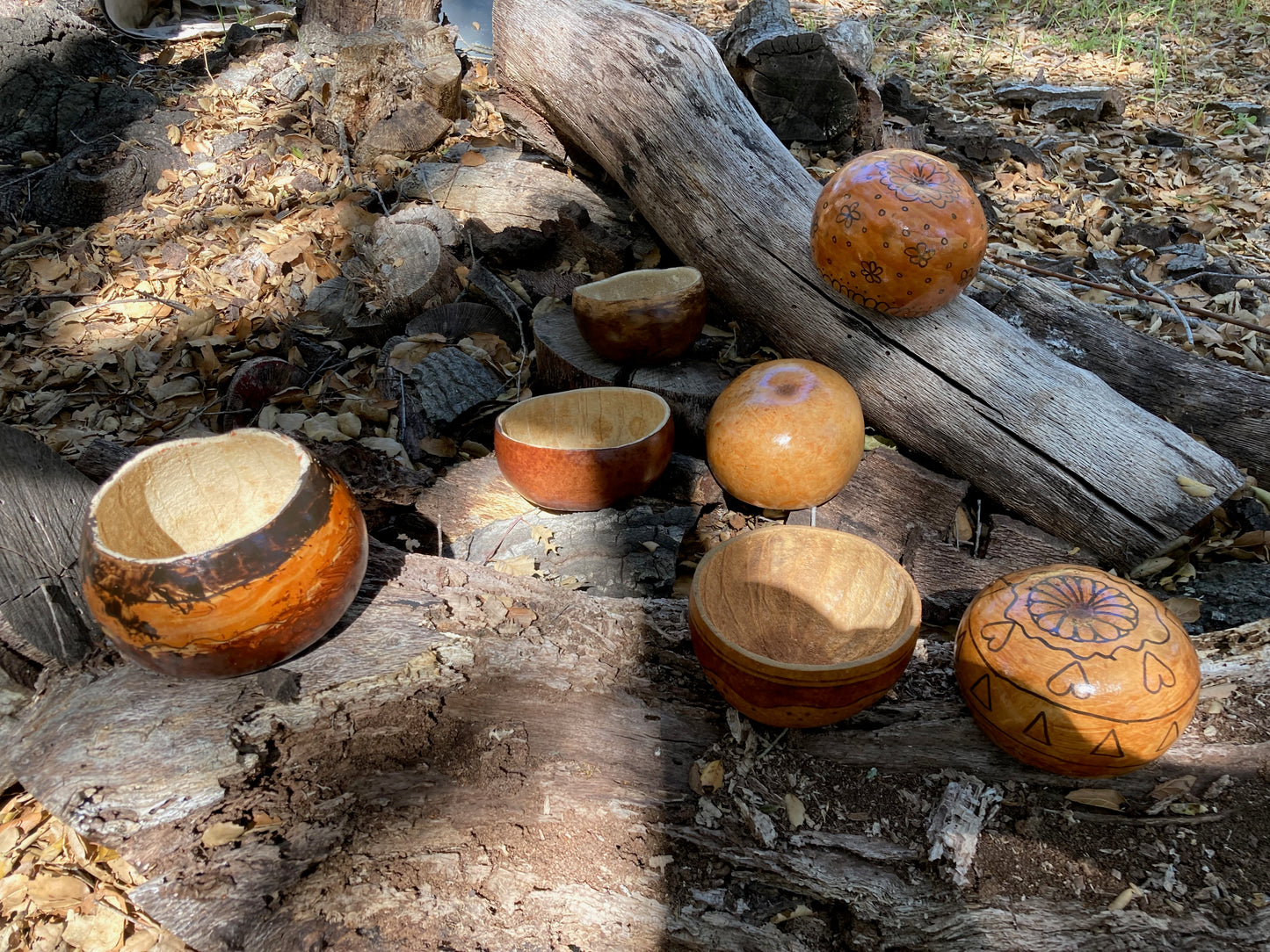 Gourd Bowl Making, Nov 15, 2:00-4:00pm