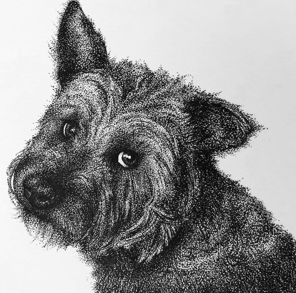 Intro to Stippling, Oct 16, 6:30-8:00pm**