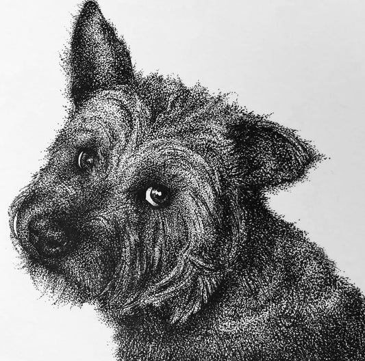 Intro to Stippling, Oct 16, 6:30-8:00pm**