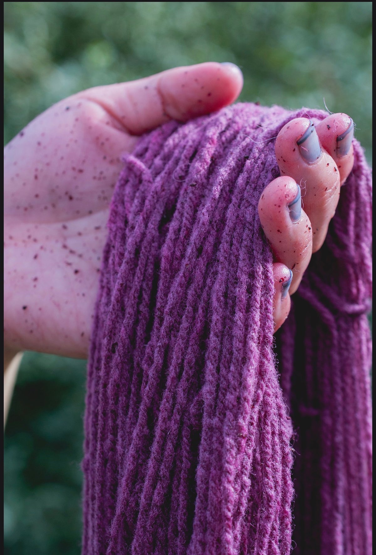 Cochineal Dye Workshop; Sun, Nov 1 @ 11:00am