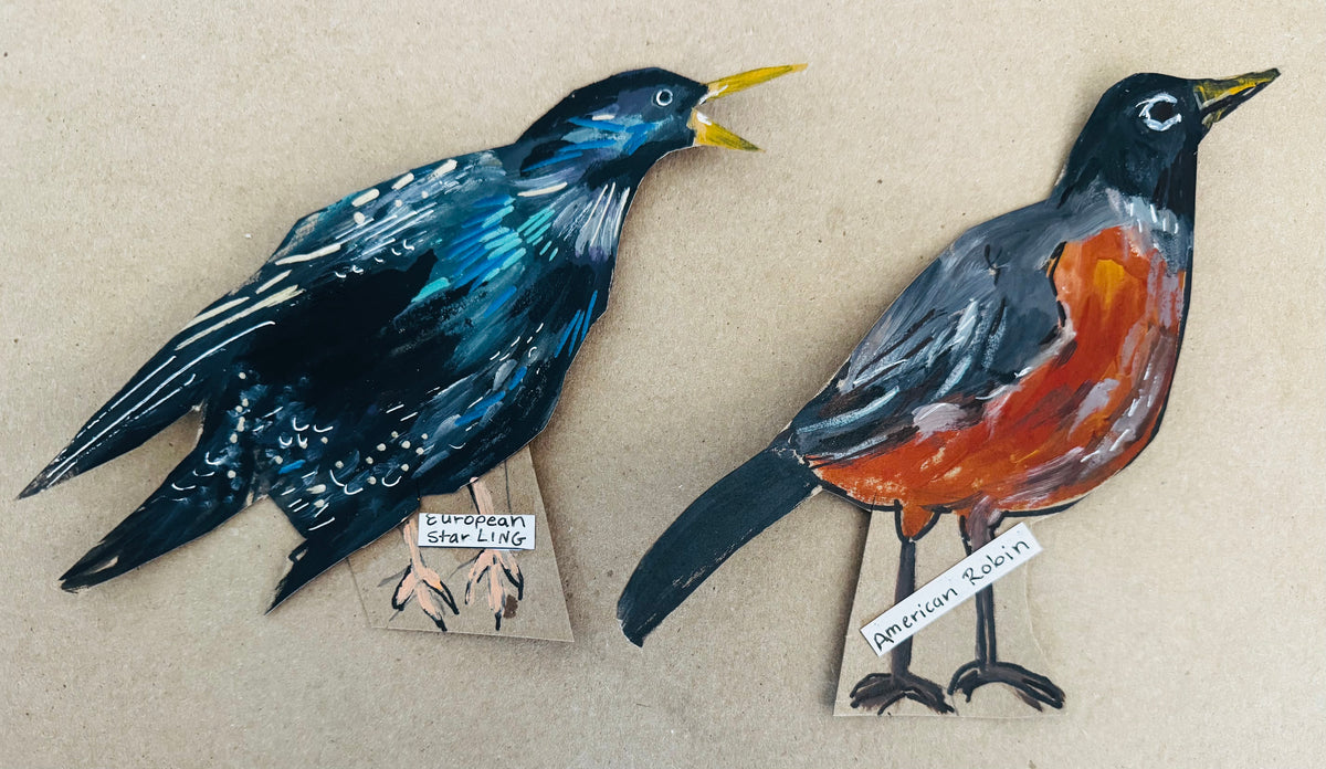 Bird Search Paint Party; Oct, 9 @ 1-4pm (FREE)
