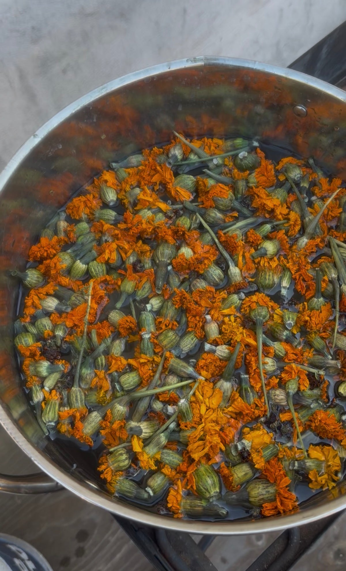 Marigold Dye Workshop; Sun, Oct 25 @ 1:00pm