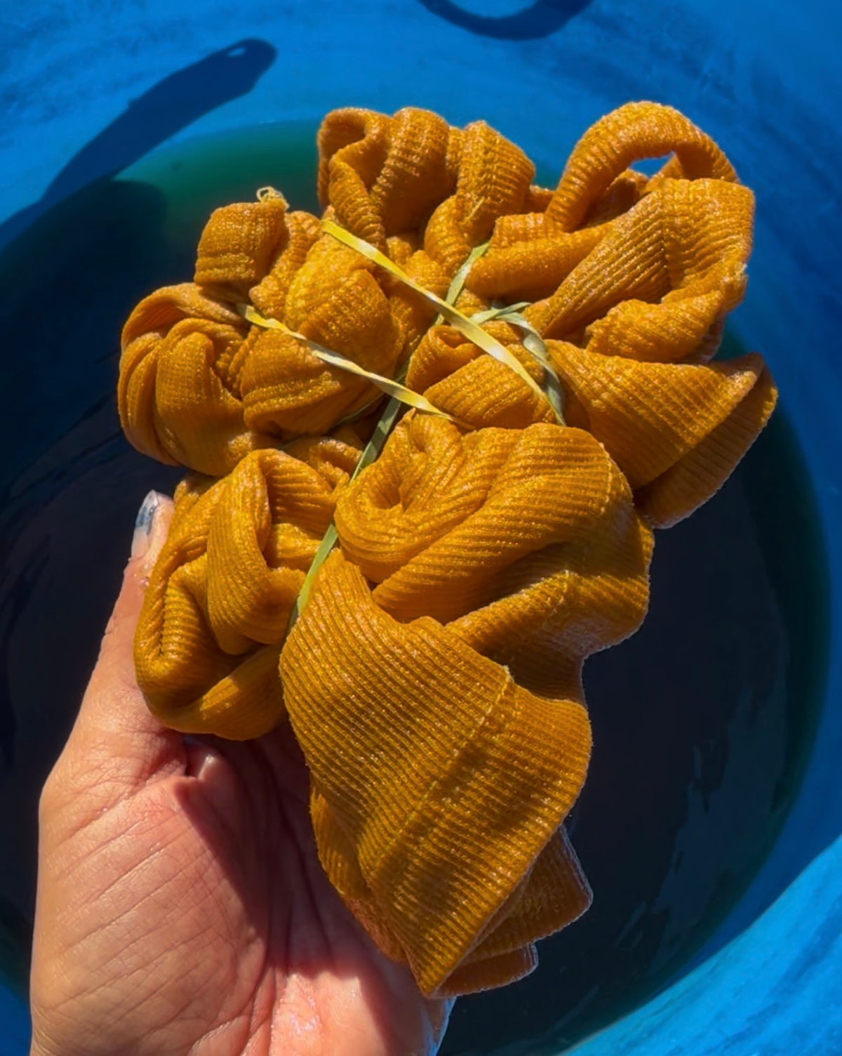 Marigold Dye Workshop; Sun, Oct 25 @ 1:00pm