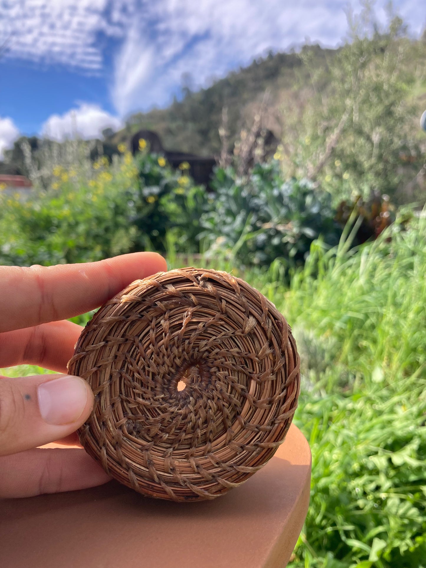 Pine Needle Baskets; Sun, Apr 19 @ 11:00am**