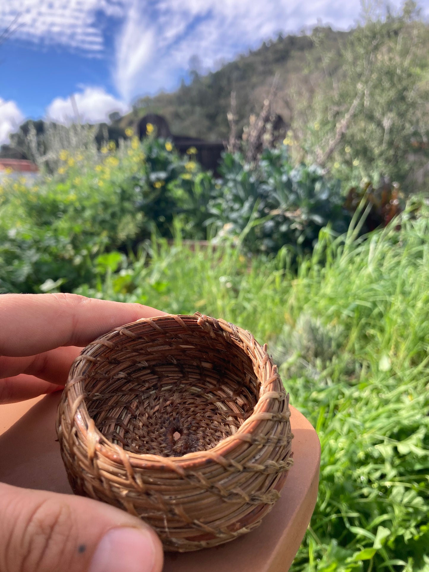 Pine Needle Baskets; Sun, Apr 19 @ 11:00am**