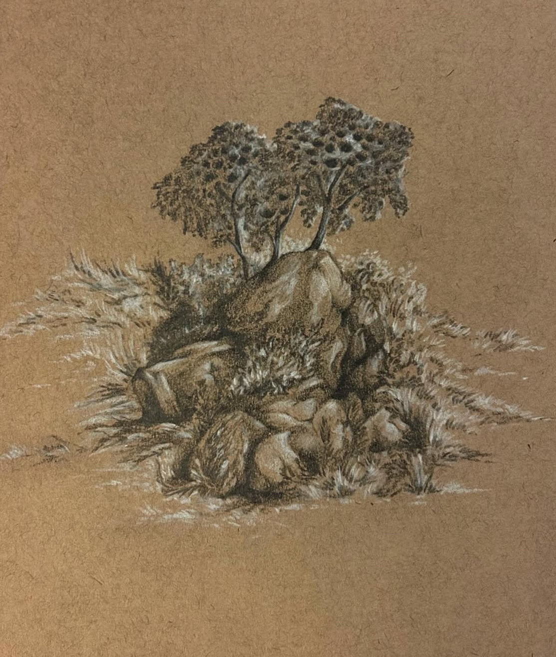 Visual Expression with 2D Arts, 2nd-6th Grade, 8 weeks (Sept & Oct)