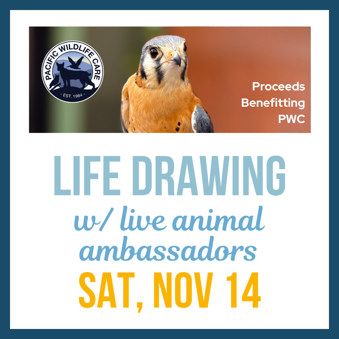 Life Drawing w/ Live PWC Animal Ambassadors; Sat, Nov 14 @10:00am