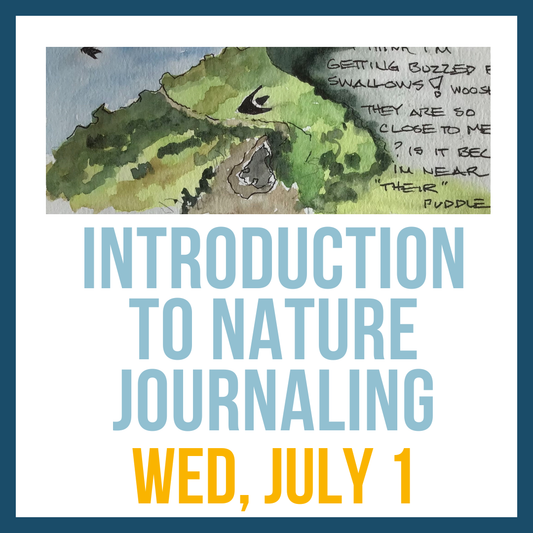 Introduction to Nature Journaling; Wed, July 1 @ 1:00pm