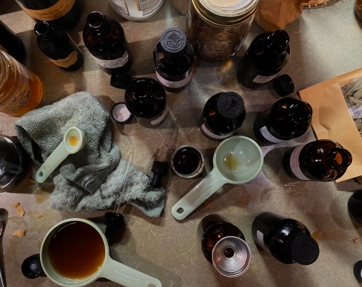 Autumn Herbal Medicine Workshop; Tues, Nov 24 @2:00pm