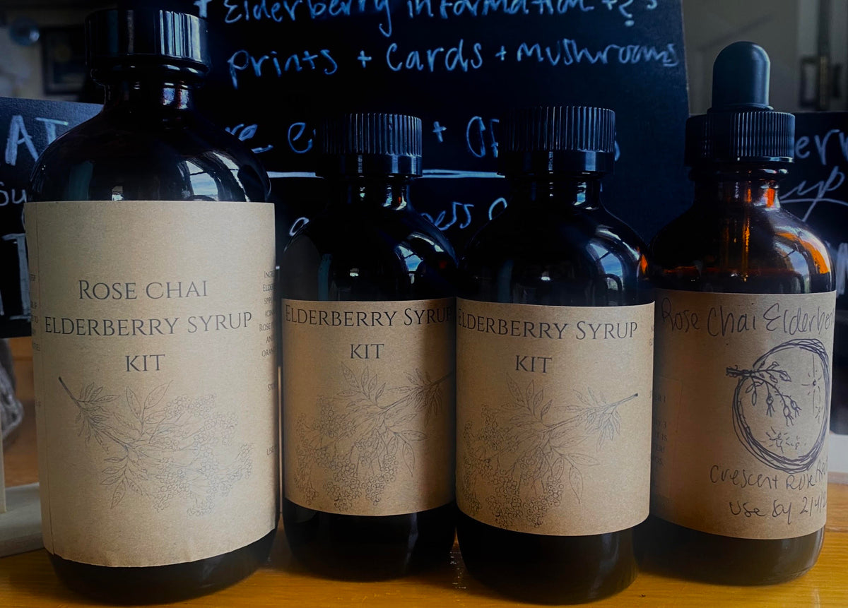 Autumn Herbal Medicine Workshop; Tues, Nov 24 @2:00pm