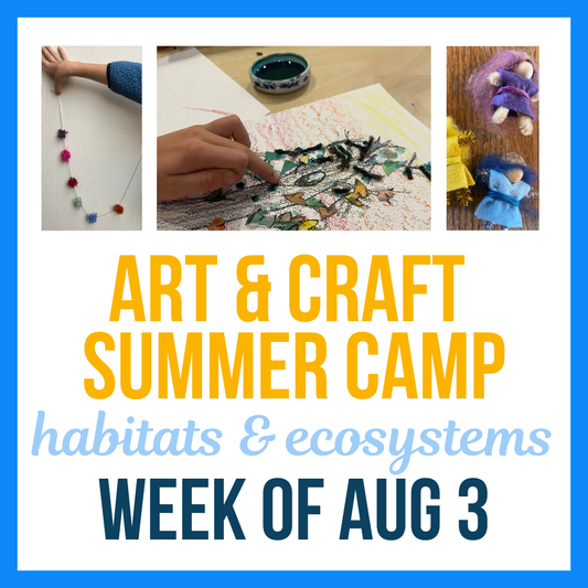 Summer Camp; Aug 3-7