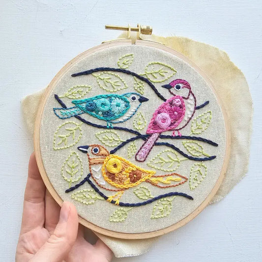 Colorful Birds Embroidery Kit