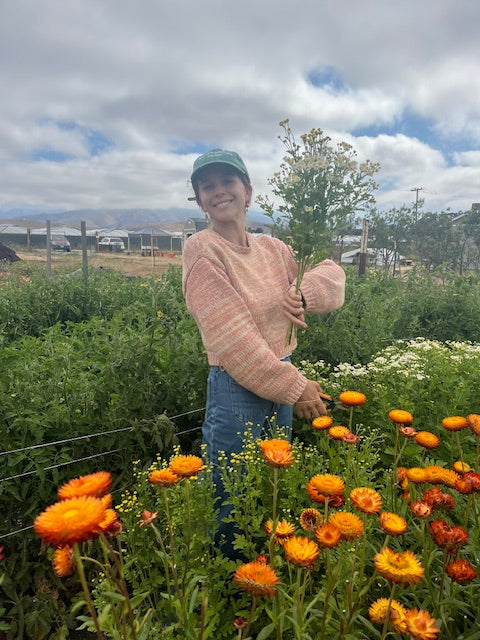 Dried Flower Arranging; Feb 22, 1:00-3:00pm