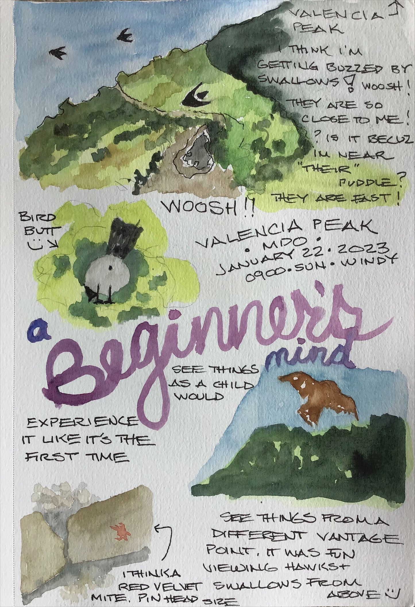 Introduction to Nature Journaling, Nov 16, 2:00-3:30pm